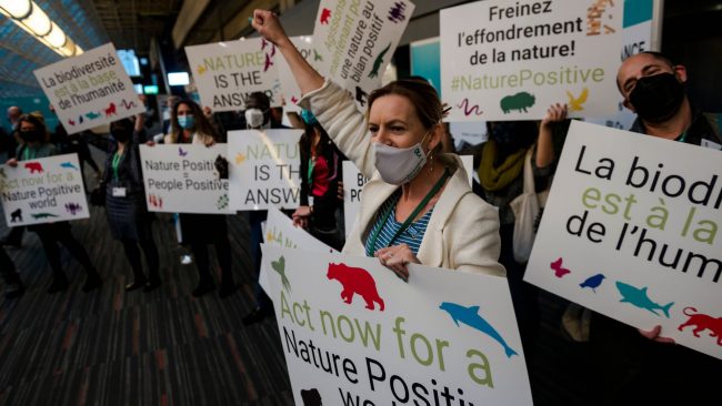 COP15 biodiversité enjeux