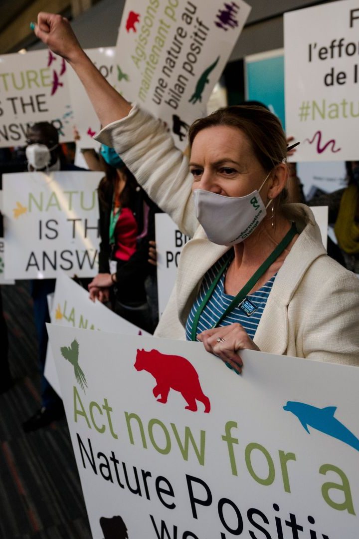 COP15 biodiversité enjeux