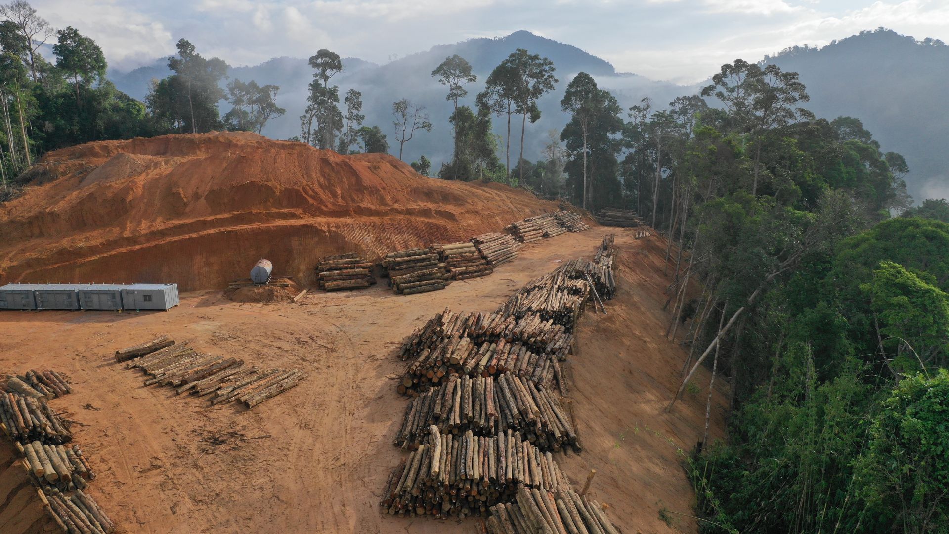 L'Union européenne doit rendre sa loi de lutte contre la déforestation importée.