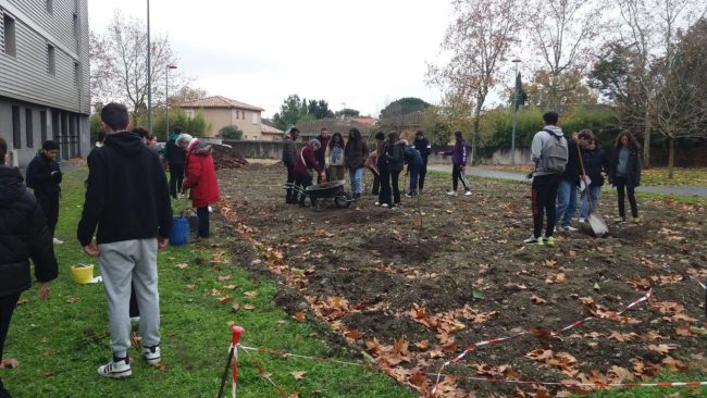 La zone de plantation de la mini-forêt du lycée Raymond-Naves à Toulouse. // PHOTO : Charlotte Dahlem