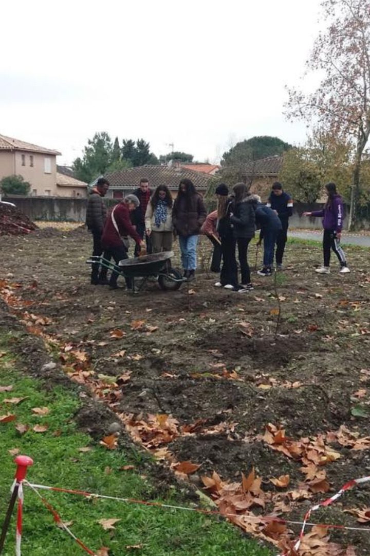 La zone de plantation de la mini-forêt du lycée Raymond-Naves à Toulouse. // PHOTO : Charlotte Dahlem