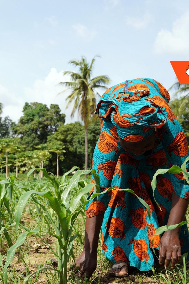 En Afrique, pour relever le défi du dérèglement climatique, les agriculteurs devront aller vers l'agroécologie.