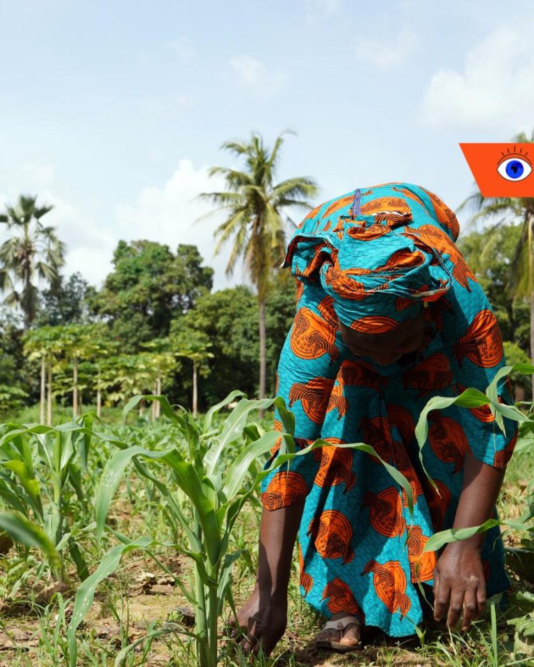 En Afrique, pour relever le défi du dérèglement climatique, les agriculteurs devront aller vers l'agroécologie.