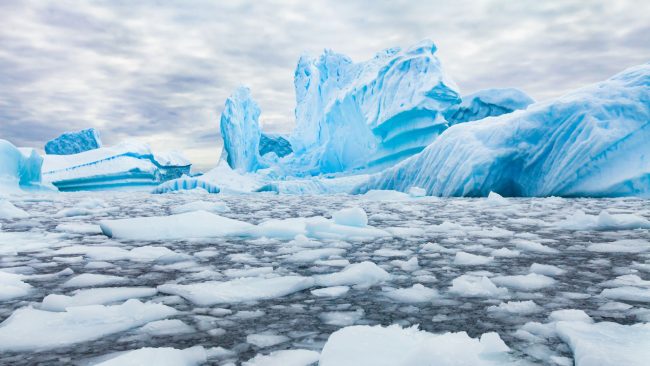 La banquise antarctique atteint un nouveau record de fonte