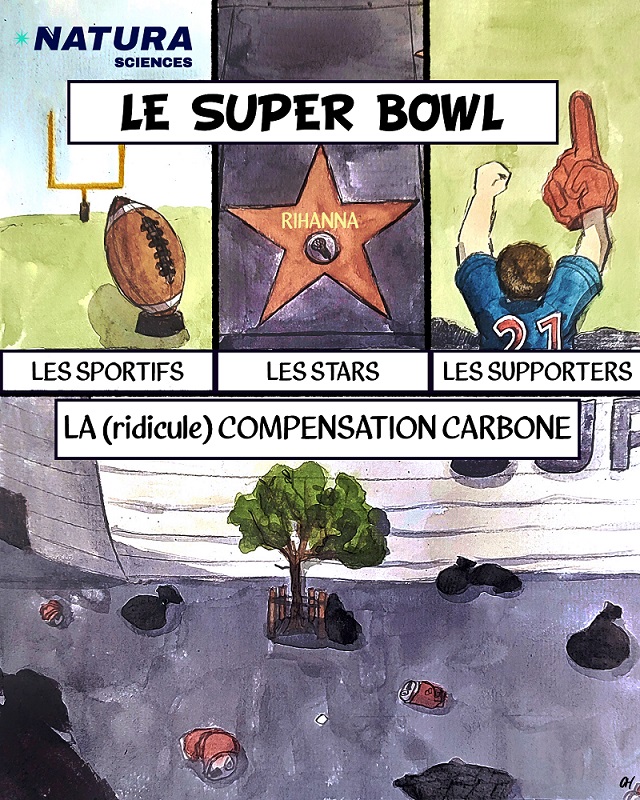 Le Super Bowl en 4 points clés. // DESSIN : Chiara Hagenlocher / Natura Sciences