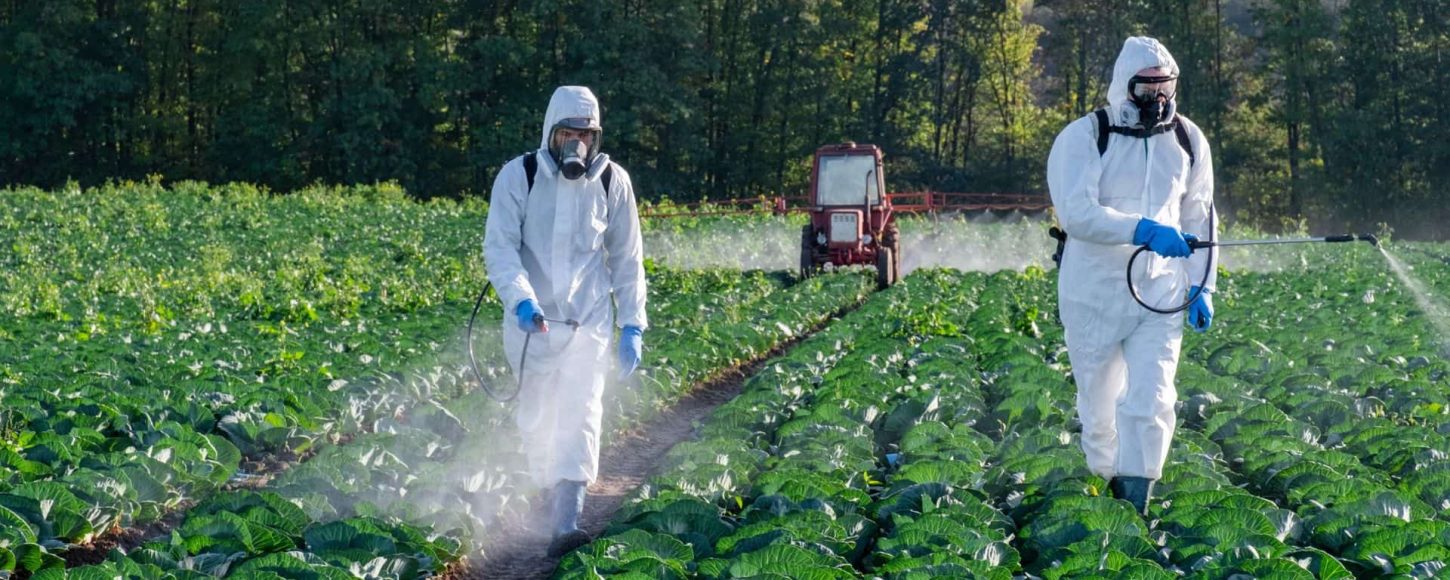 Toxicité à long terme des pesticides