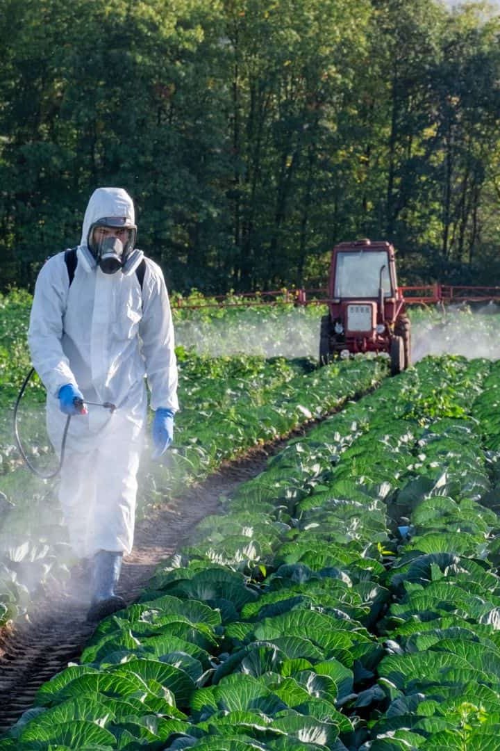 Toxicité à long terme des pesticides