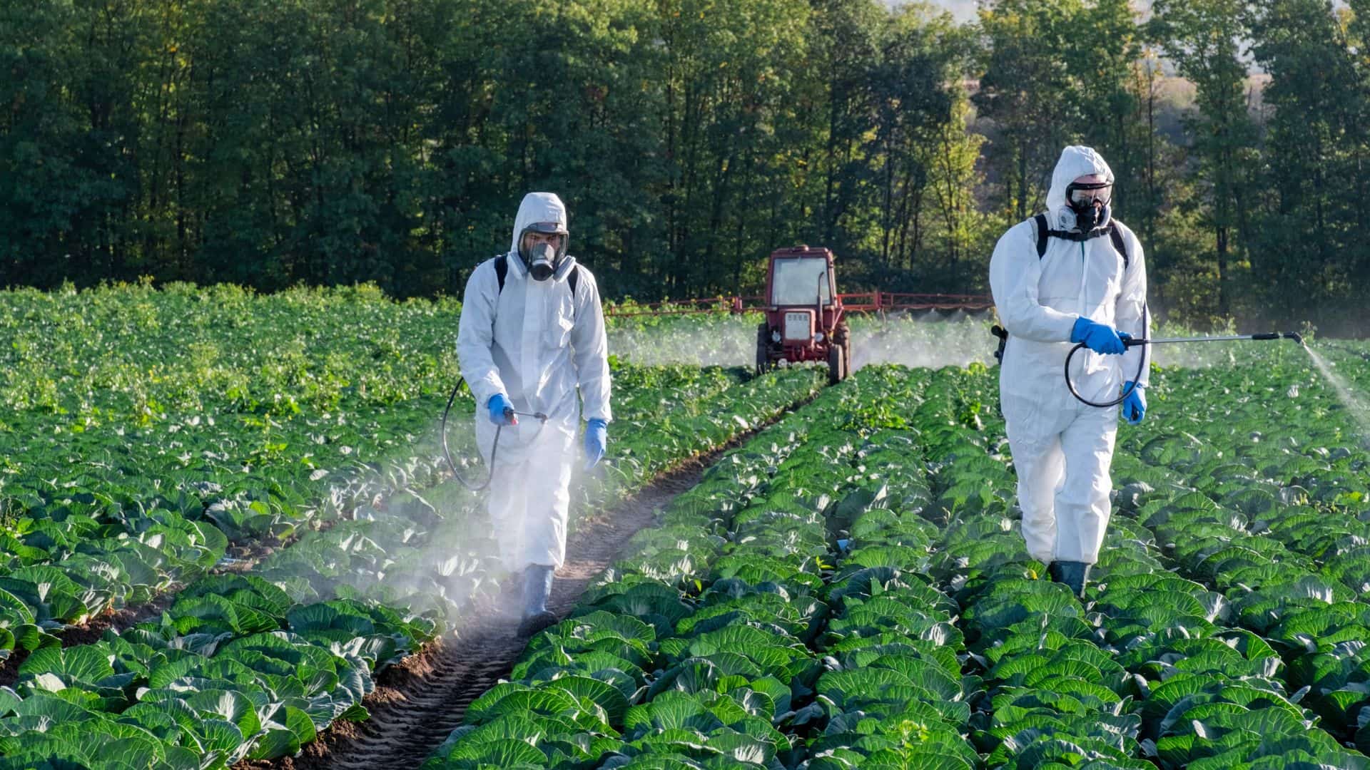 Toxicité à long terme des pesticides