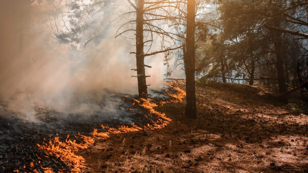 Sécheresse hivernale et risque incendie