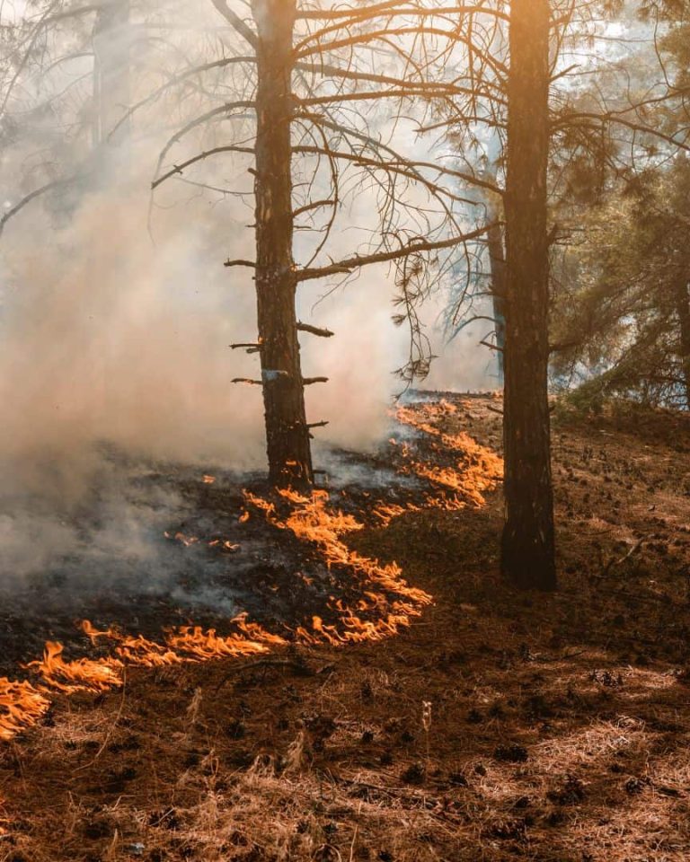 Sécheresse hivernale et risque incendie