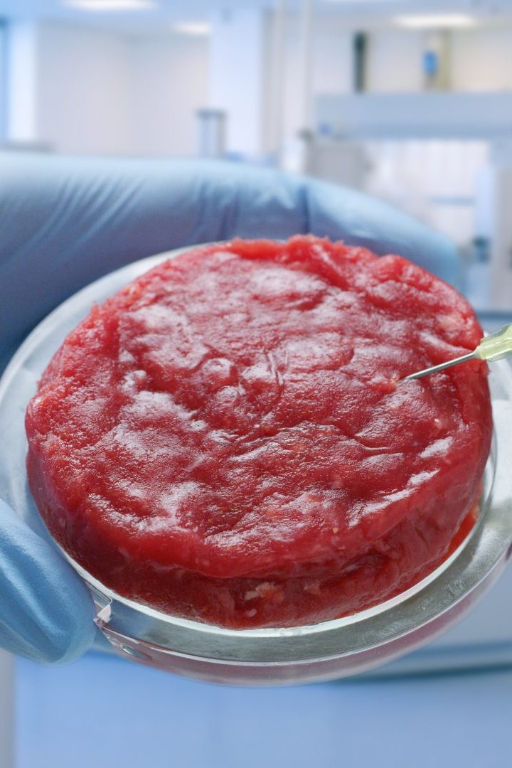 viande in vitro