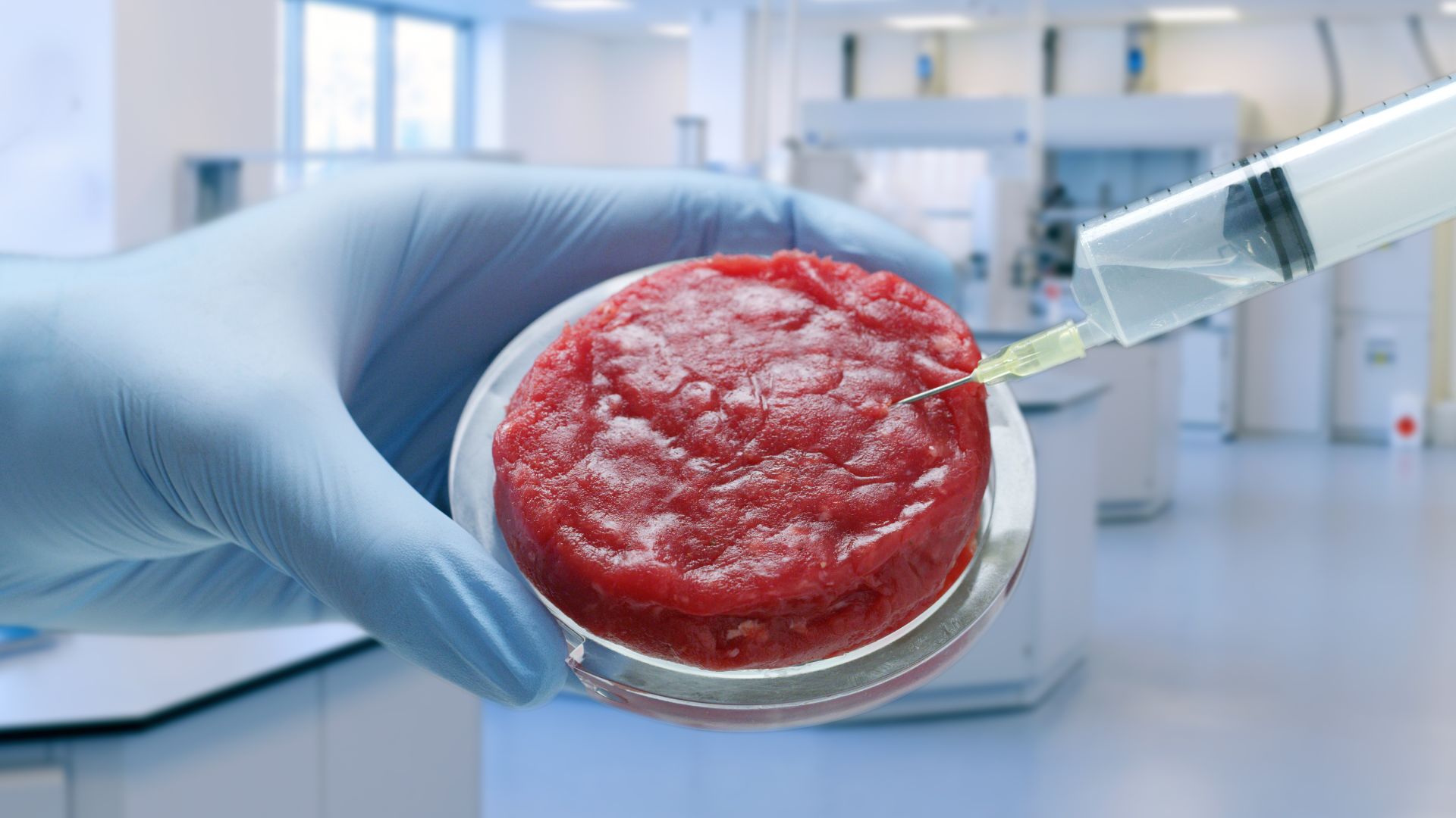 viande in vitro