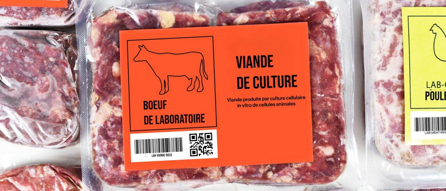 viande-in-vitro-viande-de-culture
