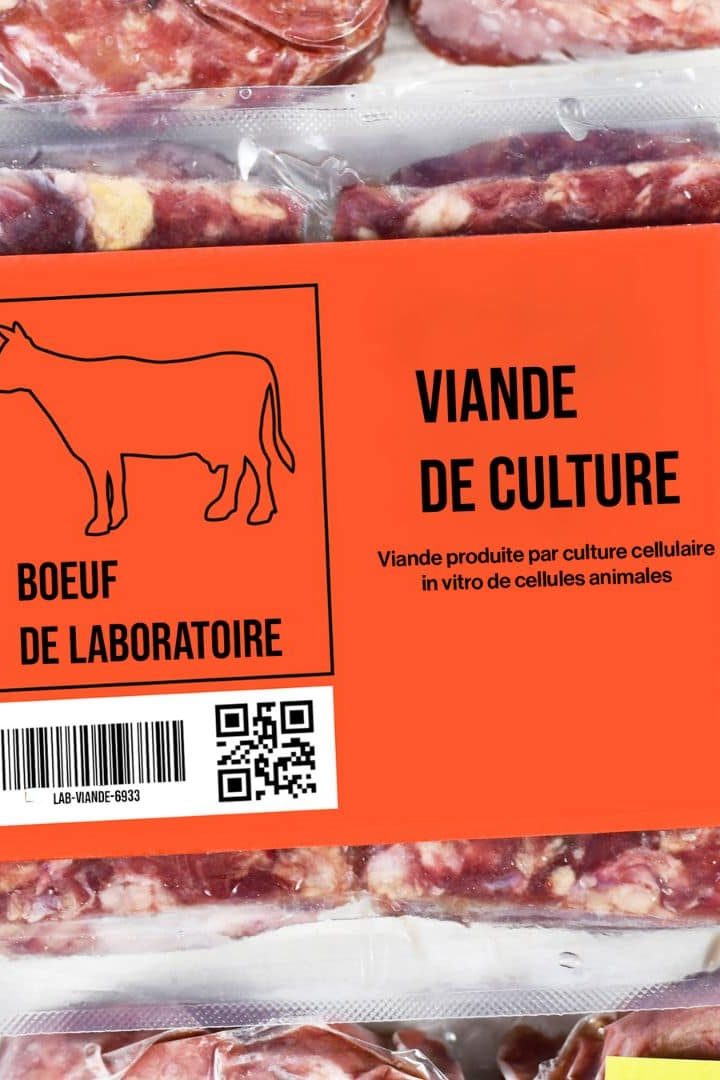 viande-in-vitro-viande-de-culture