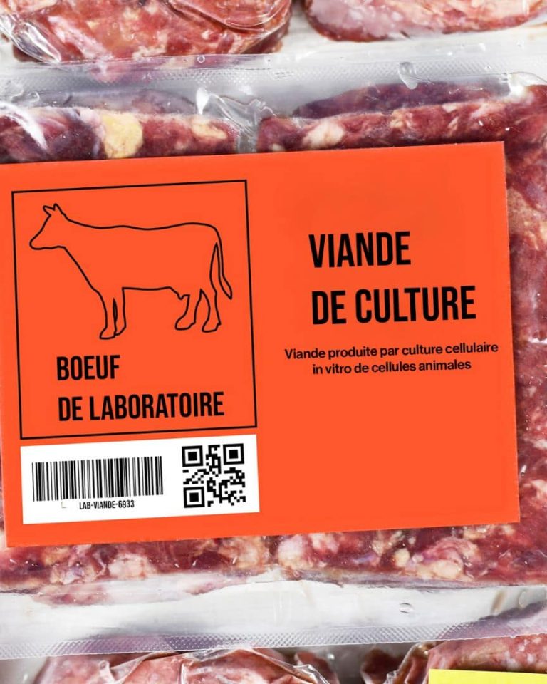 viande-in-vitro-viande-de-culture