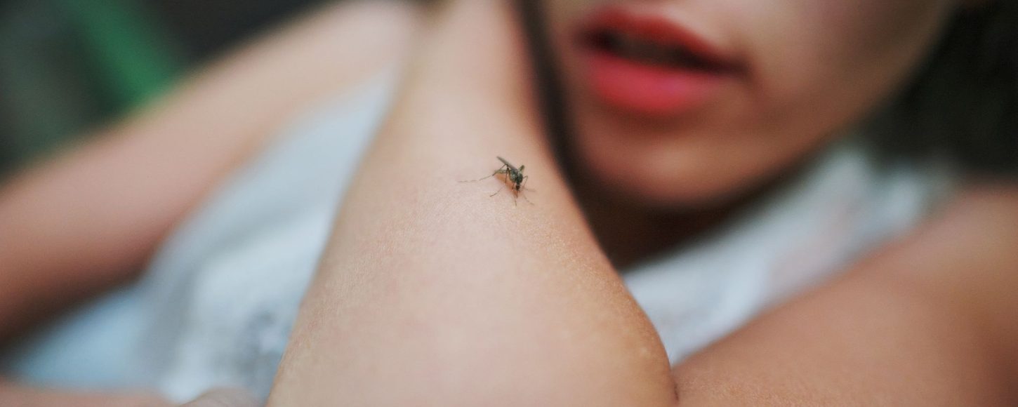 Les répulsifs cutanés font partis des moyens recommandés par le Haut Conseil de la Santé Publique pour se protéger des moustiques. //Photo : Adobe Stock