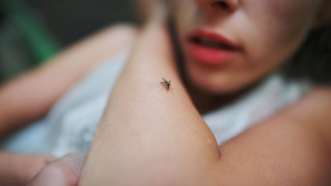 Les répulsifs cutanés font partis des moyens recommandés par le Haut Conseil de la Santé Publique pour se protéger des moustiques. //Photo : Adobe Stock