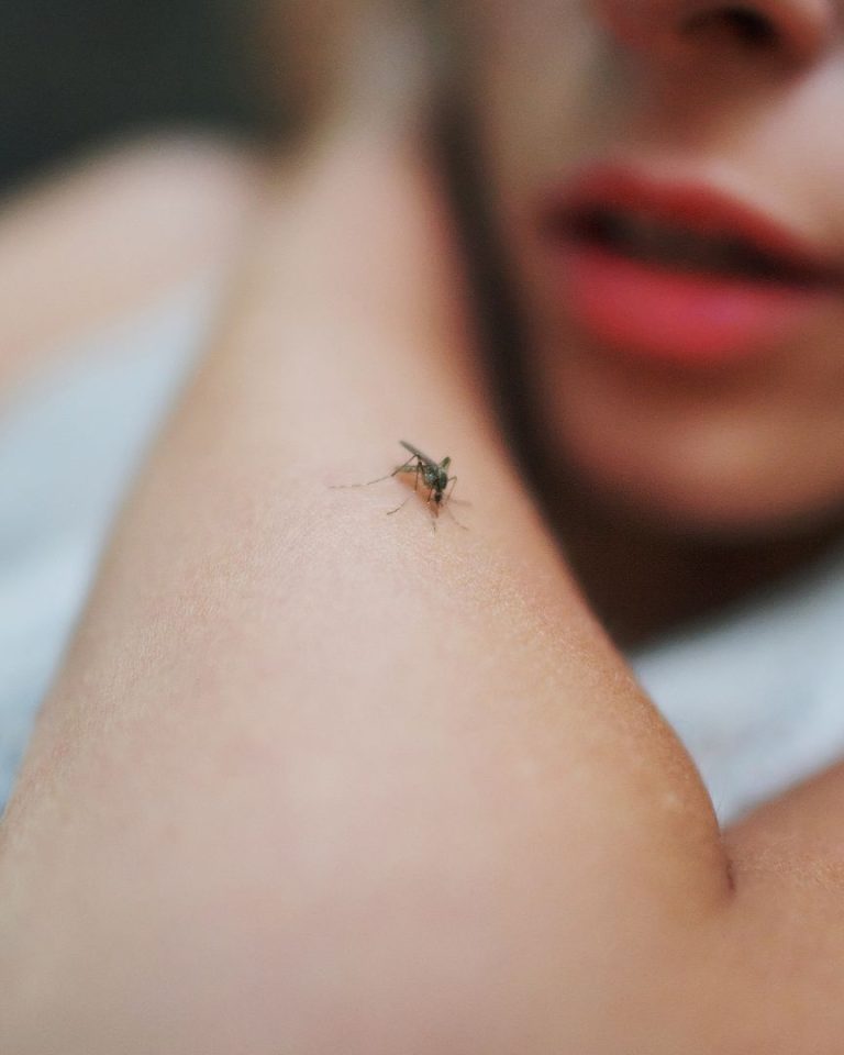 Les répulsifs cutanés font partis des moyens recommandés par le Haut Conseil de la Santé Publique pour se protéger des moustiques. //Photo : Adobe Stock