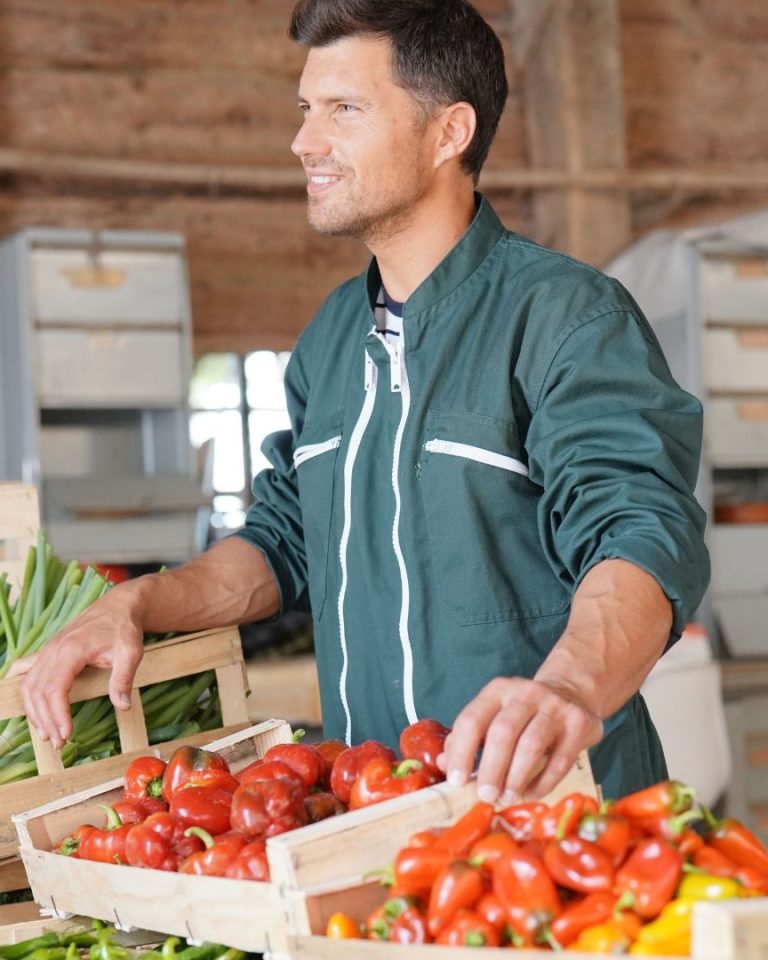 Agriculture bio vente locale