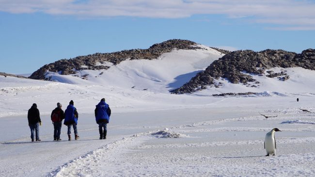 En Antarctique, le réchauffement climatique est deux fois plus rapide que prévu.