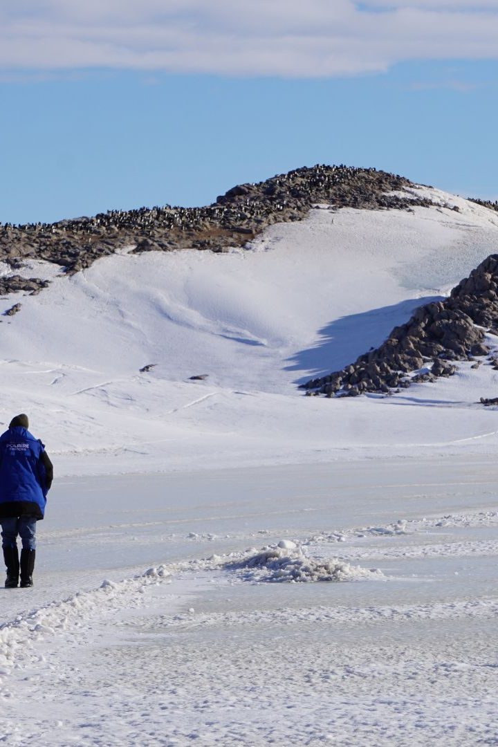 En Antarctique, le réchauffement climatique est deux fois plus rapide que prévu.