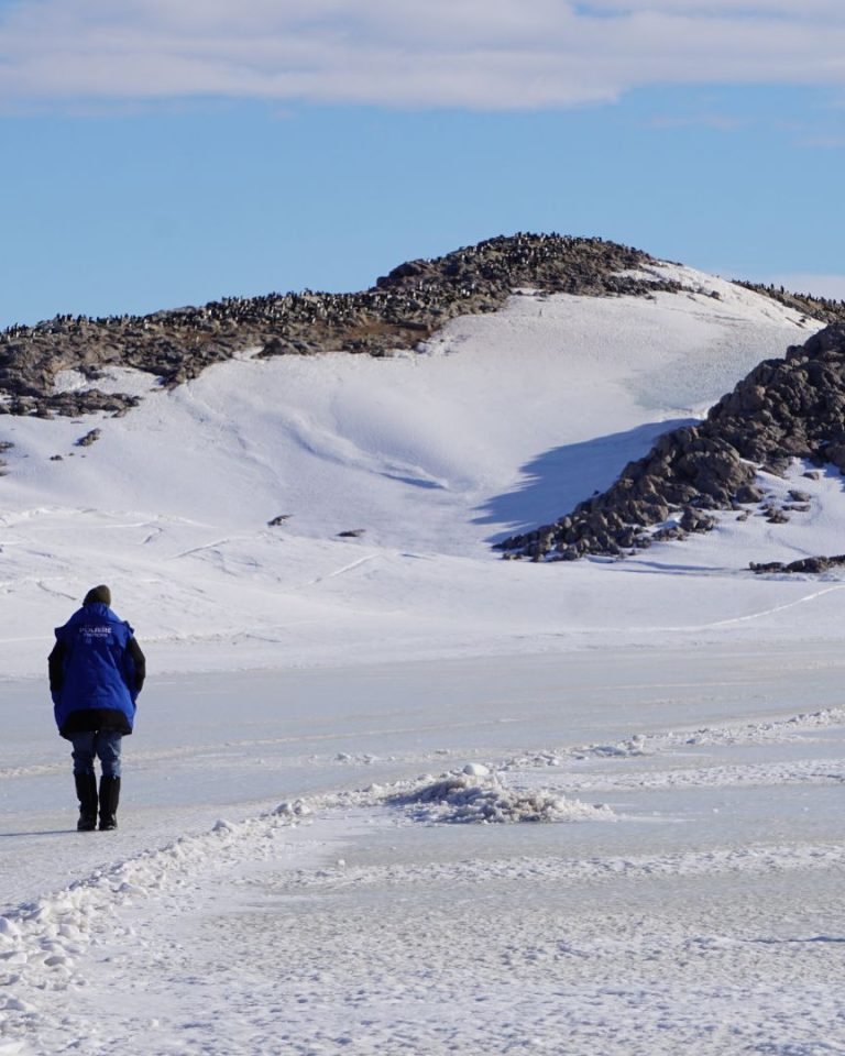 En Antarctique, le réchauffement climatique est deux fois plus rapide que prévu.