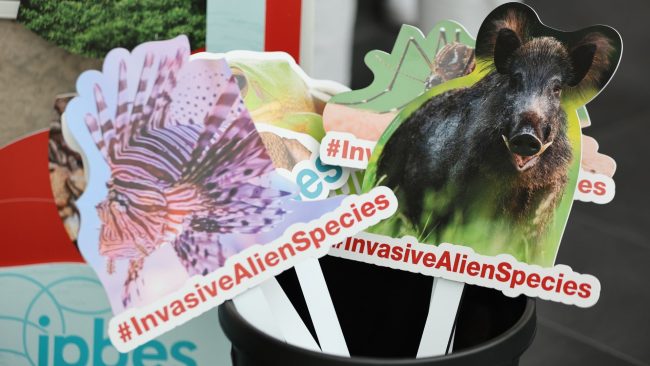 Pancartes d'espèces exotiques envahissantes à la réunion de l'IPBES