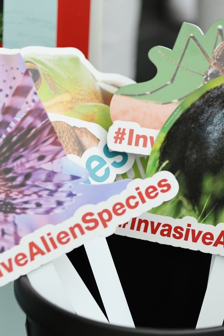 Pancartes d'espèces exotiques envahissantes à la réunion de l'IPBES