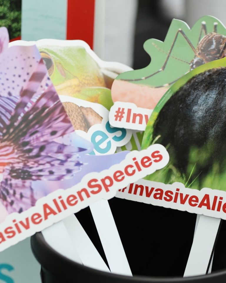 Pancartes d'espèces exotiques envahissantes à la réunion de l'IPBES