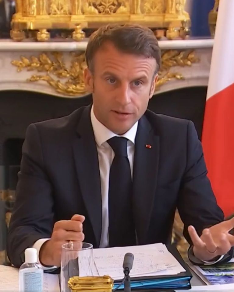 Emmanuel Macron présente sa planification écologique