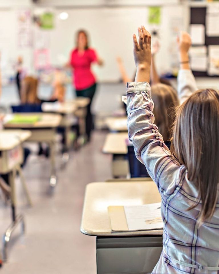 Selon le sondage mené par l'observatoire Écolhuma, les enseignants sont des acteurs majeurs de la transition écologique. //PHOTO : Adobe Stock