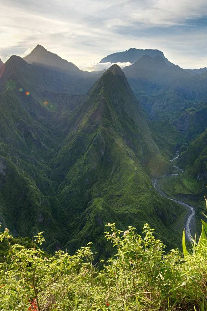 Selon le dernier bilan de l'UICN, 41% de la flore de l'île de la Réunion est menacée. // PHOTO : Adobe Stock
