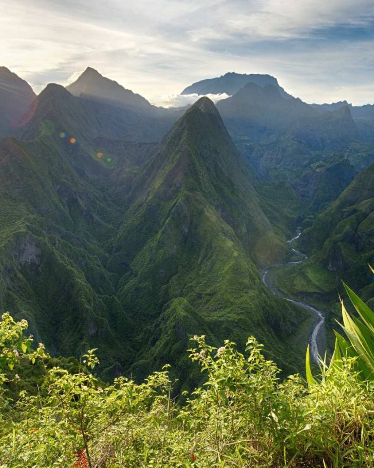 Selon le dernier bilan de l'UICN, 41% de la flore de l'île de la Réunion est menacée. // PHOTO : Adobe Stock