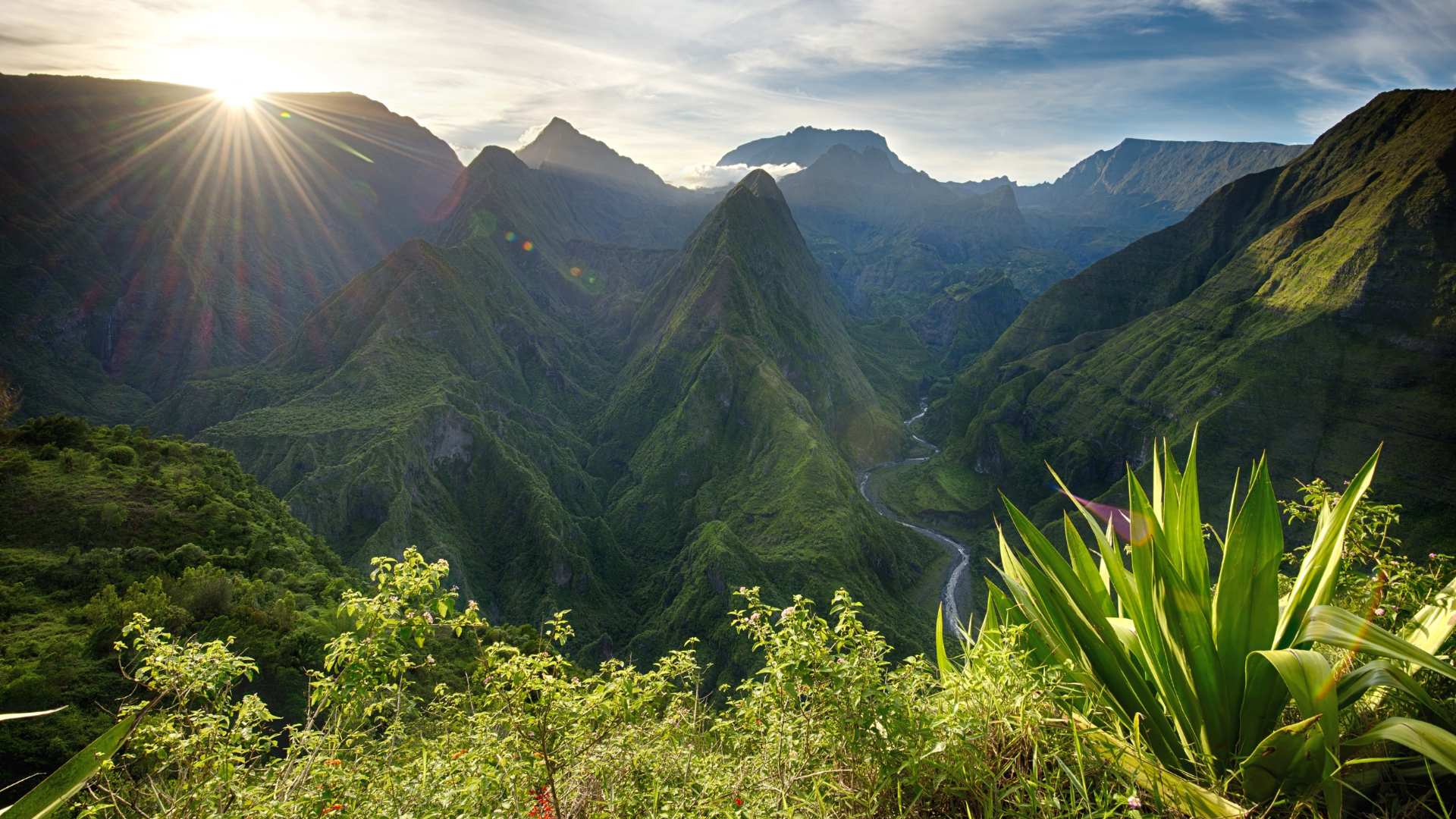 Selon le dernier bilan de l'UICN, 41% de la flore de l'île de la Réunion est menacée. // PHOTO : Adobe Stock