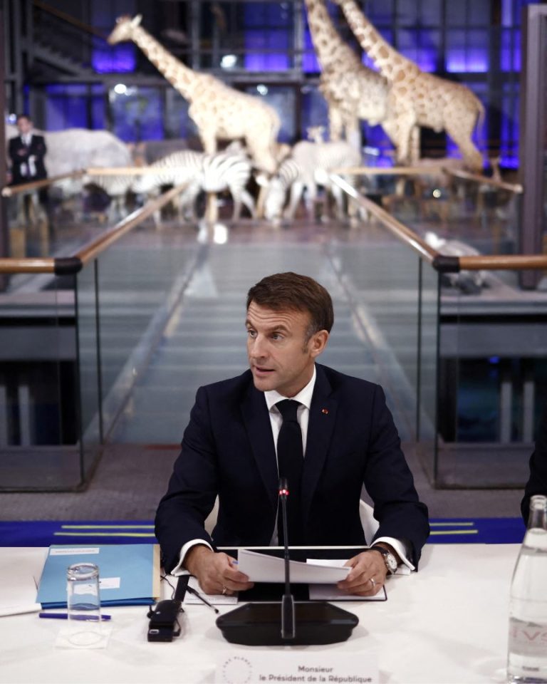 One planet polar summit Emmanuel Macron