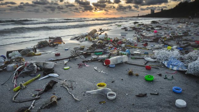 Un sac à linge pour éviter la pollution des mers