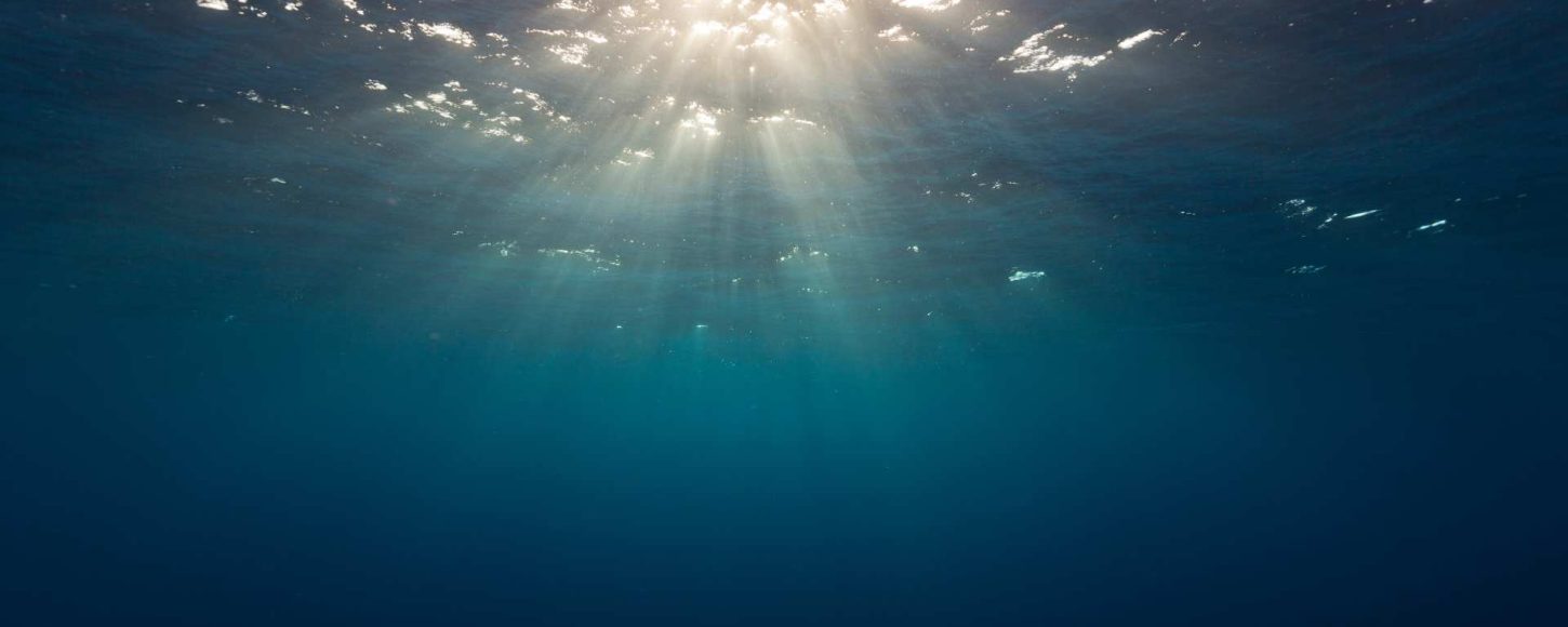 Selon le CNRS, l'océan aurait “une capacité de stockage du dioxyde de carbone atmosphérique près de 20% supérieure aux estimations présentées dans le dernier rapport du GIEC”. //PHOTO : Adobe Stock