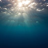 Selon le CNRS, l'océan aurait “une capacité de stockage du dioxyde de carbone atmosphérique près de 20% supérieure aux estimations présentées dans le dernier rapport du GIEC”. //PHOTO : Adobe Stock