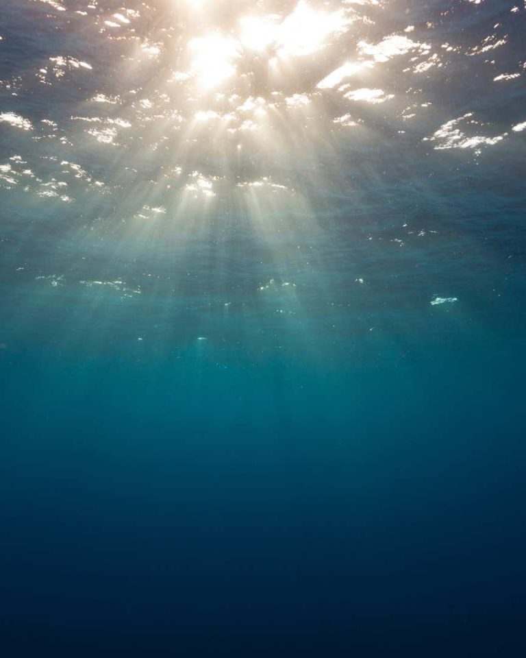 Selon le CNRS, l'océan aurait “une capacité de stockage du dioxyde de carbone atmosphérique près de 20% supérieure aux estimations présentées dans le dernier rapport du GIEC”. //PHOTO : Adobe Stock