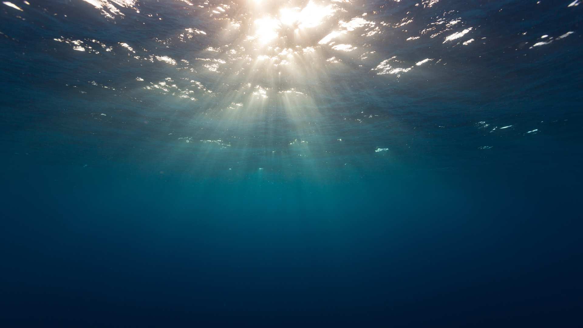 Selon le CNRS, l'océan aurait “une capacité de stockage du dioxyde de carbone atmosphérique près de 20% supérieure aux estimations présentées dans le dernier rapport du GIEC”. //PHOTO : Adobe Stock