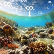 Stocker du CO2 dans l'océan, la géo-ingénierie