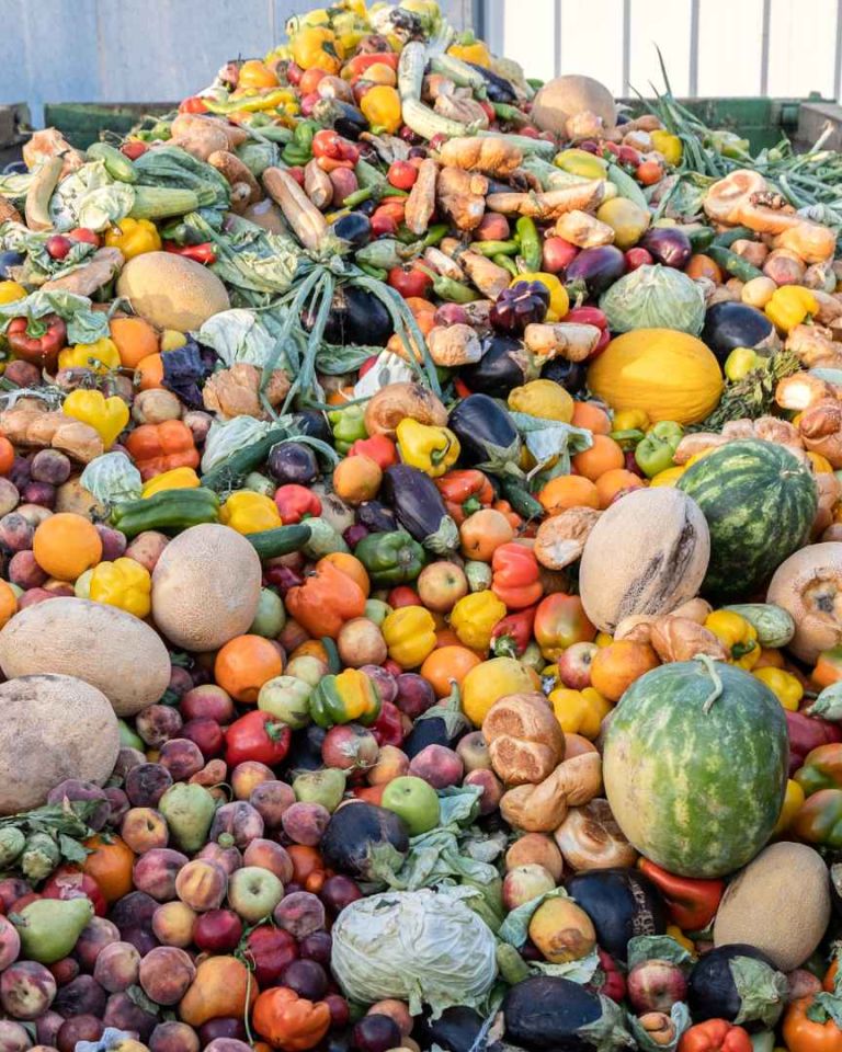 Selon le ministère de l'agriculture, en France en 2020, le gaspillage alimentaire s'élevait à plus de 8,7 millions de tonnes.//PHOTO : Adobe Stock
