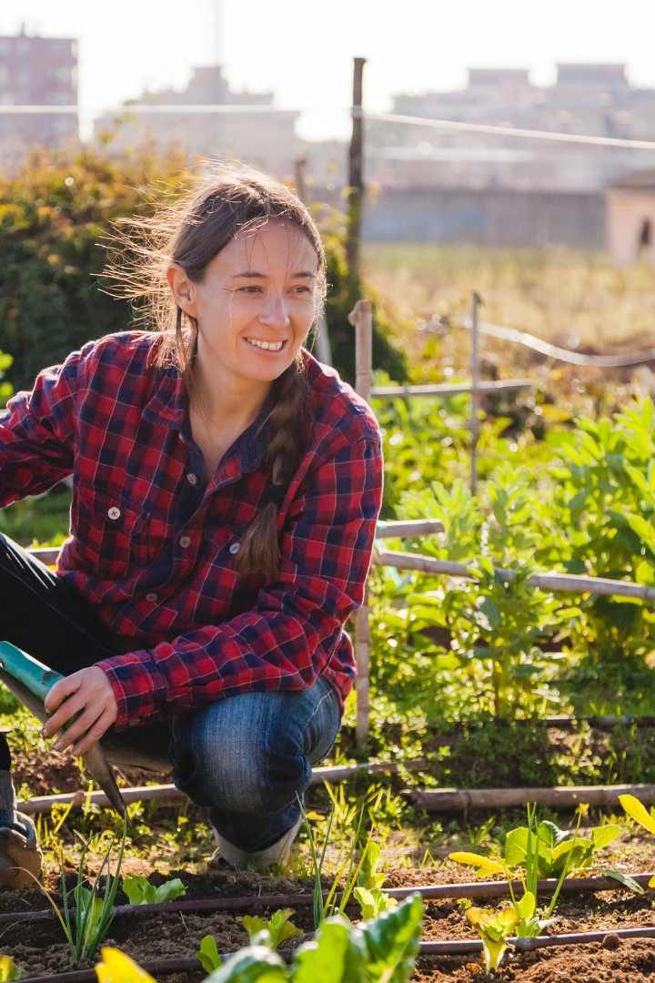 Certains produits issus de l'agriculture urbaine ont une empreinte carbone six fois supérieure à ceux venant de l'agriculture conventionnelle.// PHOTO : Adobe Stock