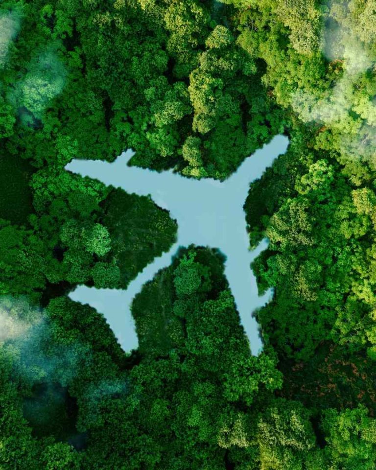 <span class="bsf-rt-reading-time"><span class="bsf-rt-display-label" prefix=""></span> <span class="bsf-rt-display-time" reading_time="8"></span> <span class="bsf-rt-display-postfix" postfix="min"></span></span><!-- .bsf-rt-reading-time -->Selon TPMF-PLC, en 15 ans, E-CHO pourrait consommer l’équivalent des 20 000 ha du massif forestier d’Iraty. //PHOTO : Adobe Stock Selon TPMF-PLC, en 15 ans, E-CHO pourrait consommer l'équivalent des 20 000 ha du massif forestier d’Iraty. //PHOTO : Adobe Stock