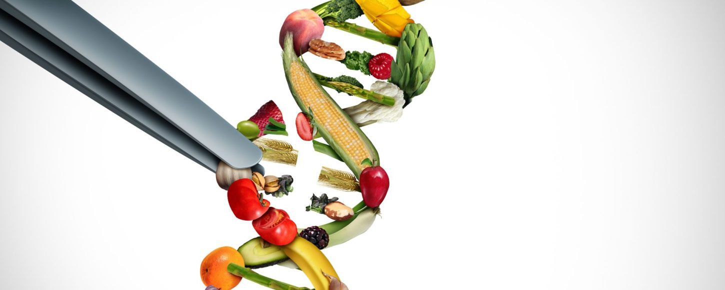 Les Nouvelles Techniques Génomiques (NTG) sont surnommées "nouveaux OGM" par les ONG écologistes. //PHOTO : Adobe Stock