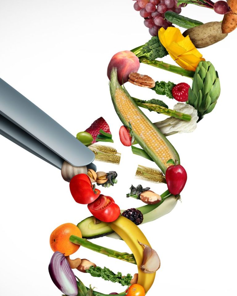 Les Nouvelles Techniques Génomiques (NTG) sont surnommées "nouveaux OGM" par les ONG écologistes. //PHOTO : Adobe Stock