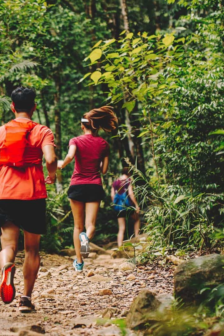 eco trail dans la forêt