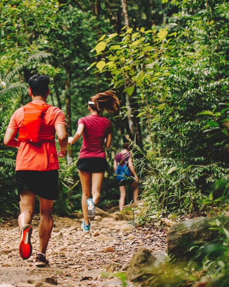 eco trail dans la forêt