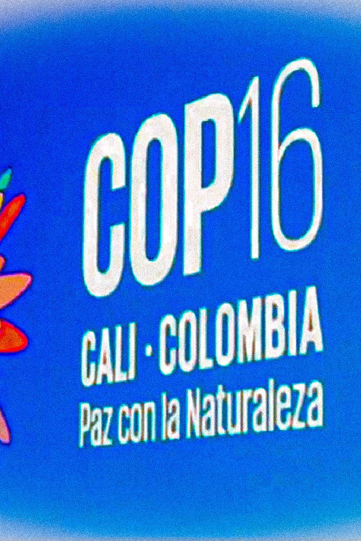 COP16 biodiversité
