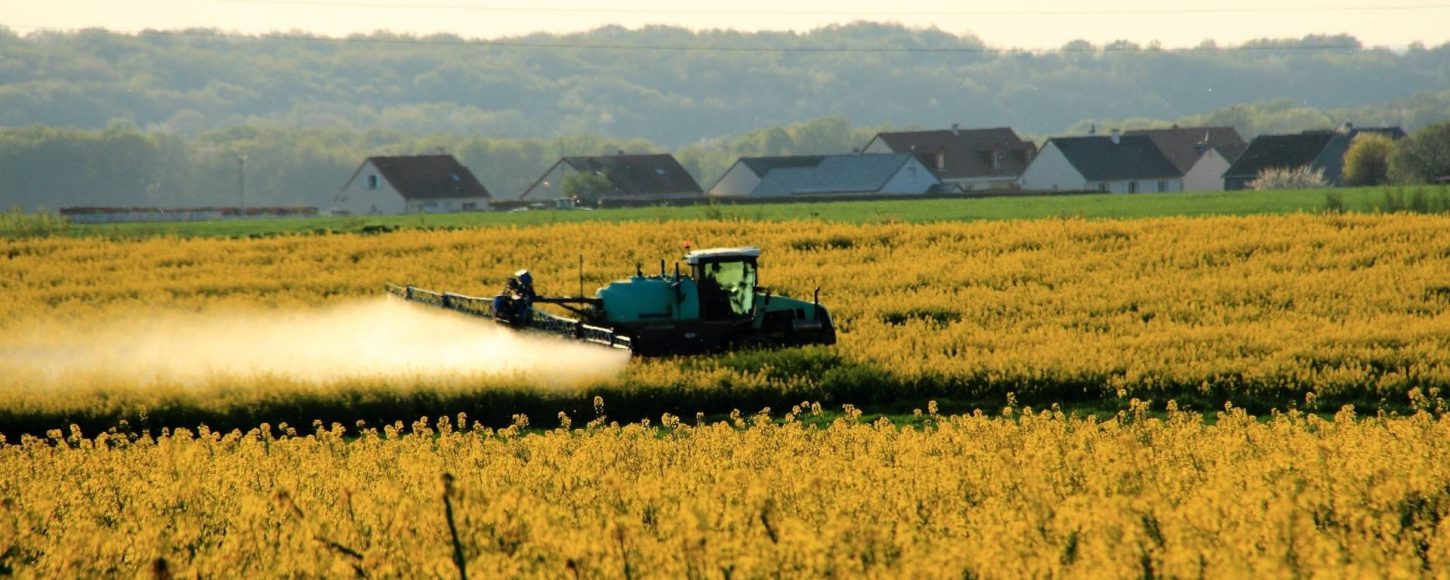 L'association Terres de lien accuse le gouvernement de s'approprier la notion paysanne de souveraineté alimentaire pour justifier une agriculture tournée vers l'exportation.